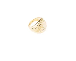 Anello argento dorato Selezione zanolli