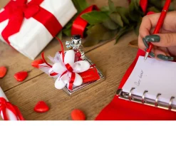 Bomboniera laurea memostick gufo della laurea con sacchetto portaconfetti Selezione zanolli