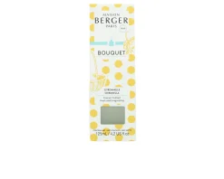 Bouquet profumatore cube alla fragranza citronella Maison berger paris