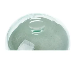 Clessidra vetro di murano verde rio e rosa cipria Venini