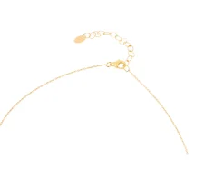 Collana argento dorato con ciondolo in pasta di corallo Selezione zanolli