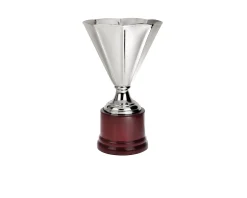 Coppa argento Selezione zanolli