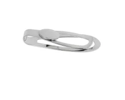 Fermasoldi ideale argento con tondo Selezione zanolli
