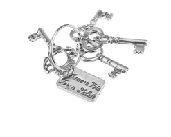 Mazzo di chiavi argento con piastrina Selezione zanolli