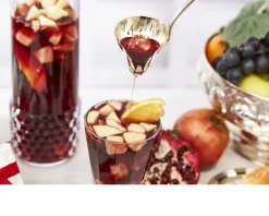 Mestolo sangria argento Selezione zanolli