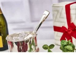 Molla ghiaccio argento in stile inglese Selezione zanolli