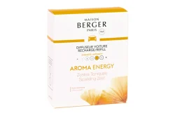 Ricarica diffusore auto aroma energy 2 pezzi alla fragranza zestes toniques Maison berger paris
