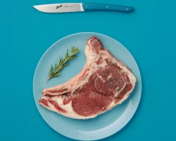 Set coltelli bistecca color acciaio blu petrolio 4 pezzi Berkel