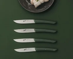 Set coltelli bistecca color acciaio verde 4 pezzi Berkel