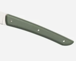 Set coltelli bistecca color acciaio verde 4 pezzi Berkel