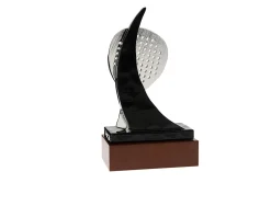 Trofeo padel Selezione zanolli