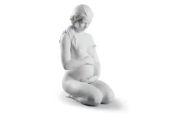 Una nuova vita porcellana Lladro'
