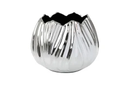 Vaso tulipano Selezione zanolli